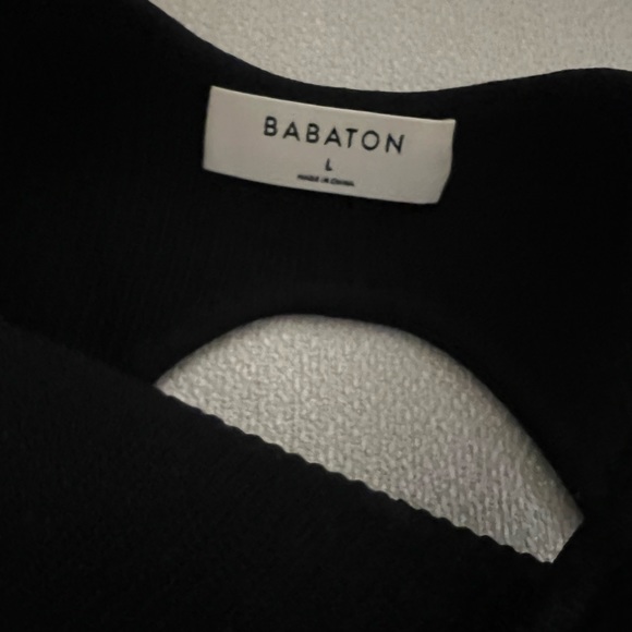 Babaton winslet dress aritzia - Picture 4 of 4
